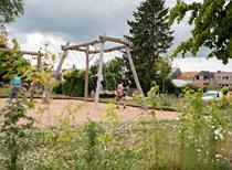 DSC_8957.jpg