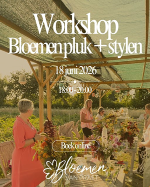 foto: workshop bloemenpluk + stylen