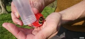 foto: Natuurpunt