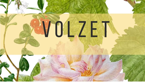 foto: Volzet