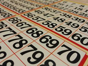 foto: Bingo