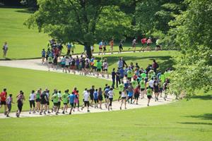 foto: Plantentuin Meise - het prachtige parcours van onze jogging !